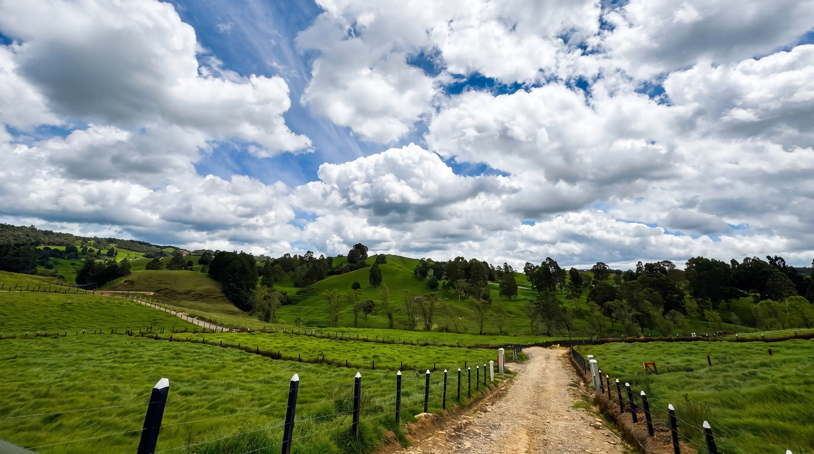 Camino interno del proyecto Primavera Campestre con los lotes campestres demarcados por postes, prado verde y cielo dramático en San Pedro de los Milagros